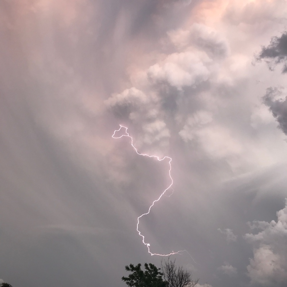 Meet your Posher, Caleb